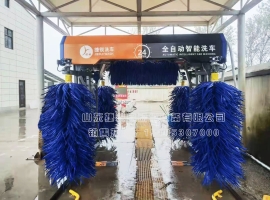 免費終身質(zhì)保電腦洗車機全自動洗...